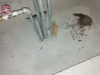 振兴卫生间测漏水价格明细